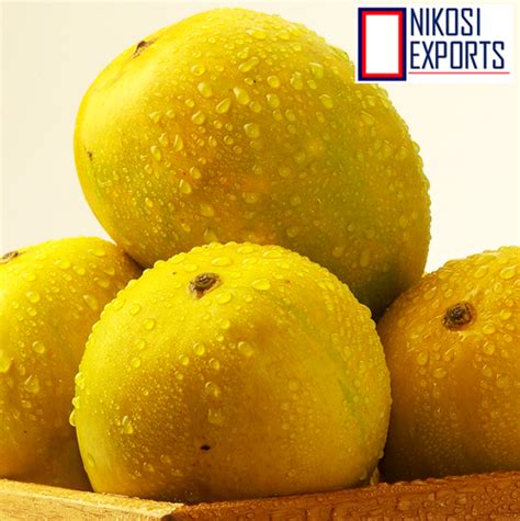 Yellow Common Fresh Totapuri Mangoes Carton Packaging Size 5 Kg Rs