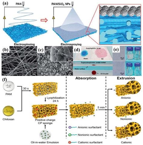 Polymers Free Full Text Bio Inspired Polymeric Structures With