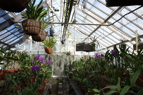 The Greenhouses Collection — Planting Fields Arboretum, NY