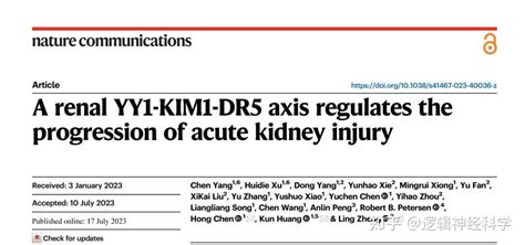 Nat Commun︱武汉大学郑凌华中科技大学黄昆课题组联合发现肾脏yy1 Kim1 Dr5轴调控急性肾损伤进展 知乎