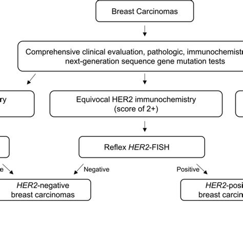 A Combination Of HER2 IHC And HER2 Amplification Status By NGS Sequence