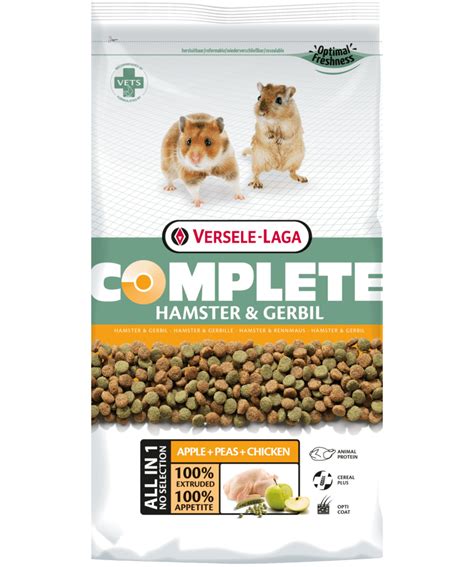 Best Treats For Gerbils - Pet Food Guide