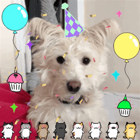 Birthday Dog GIFs - Get the best GIF on GIPHY