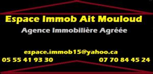 Agence Immobiliere Espace Immob Agr E Par L Etat Tizi Ouzou