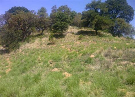 Terreno Lote Venta Carretera México Toluca Lerma Lamudi mx