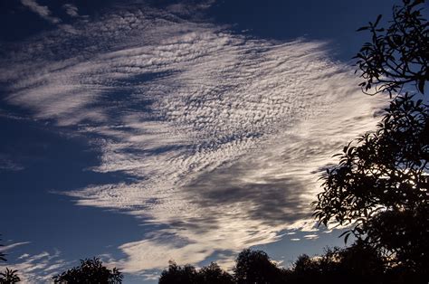 Free Images Tree Nature Horizon Cloud Sky Sunrise Sunset White