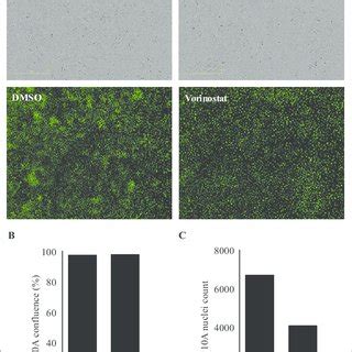 Pdf A Comparison Of Real Time And Endpoint Cell Viability Assays For