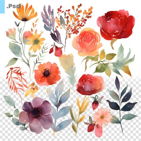 Conjunto Floral De Aquarela Flores E Folhas Pintadas M O Ilustra O