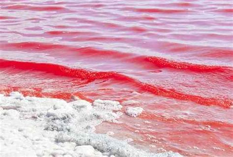 Какого цвета вода океана