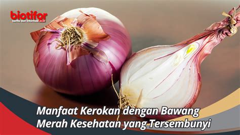 Manfaat Kerokan Dengan Bawang Merah Kesehatan Yang Tersembunyi