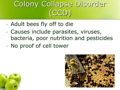 Ppt Insecticides Powerpoint Presentation Free Download Id5742155