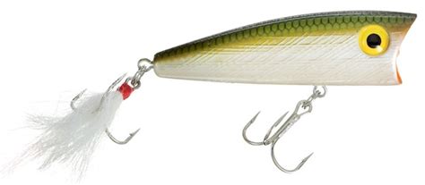 Best Poppers For Bass Best Bass Fishing Lures