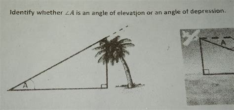 Solved Identify Whether A Is An Angle Of Elevation Or An Angle Of