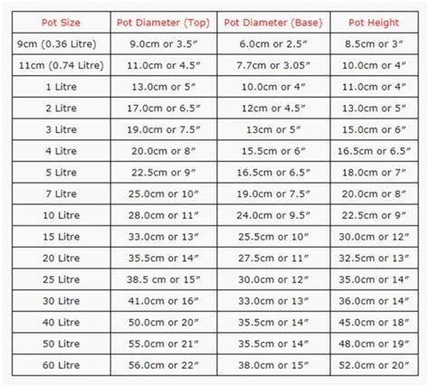 Plant Pot Sizes Potted Plants Garden Planters Plants