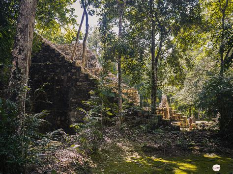 Calakmul Spektakuläre Maya Ruinen mitten im Dschungel