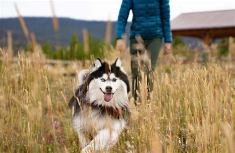 Estes Park Center Staff Resources Ymca Of The Rockies