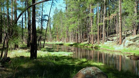 Family-friendly hikes around Arizona