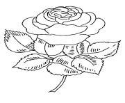 Coloriage Rose Et Coeur 57 JeColorie