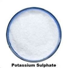 Potassium Sulphate Market Global Industry Insights Trends And