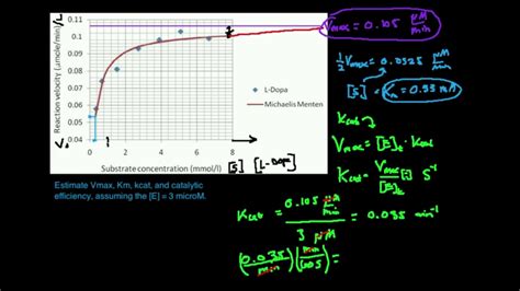 How To Find Vmax From Michaelis Menten Graph