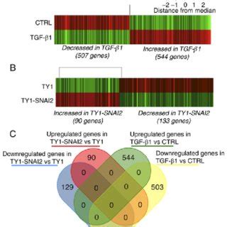 Gene Expression Changes In Hacat Cells Treated With Tgf Or In Those