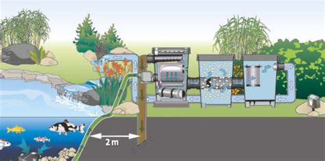 Fish Pond Filtration Design Basics