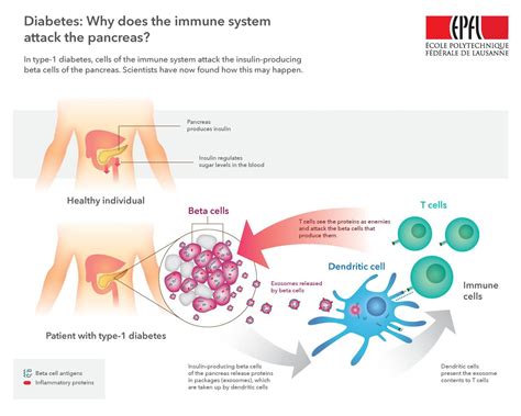 Infographic Image Eurekalert Science News Releases