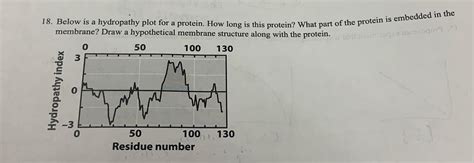 Solved Below Is A Hydropathy Plot For A Protein How Long Is Chegg