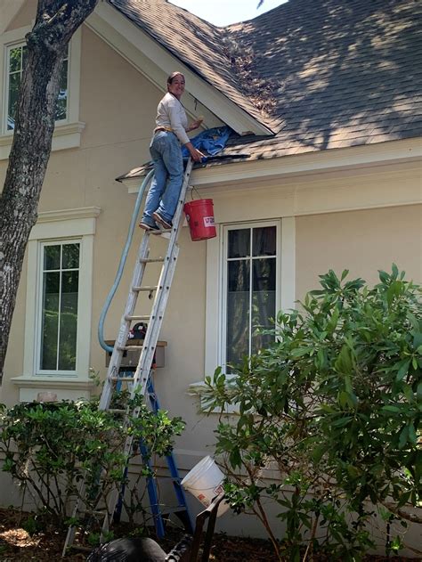 Bee Removal Work – Bee Removal Services