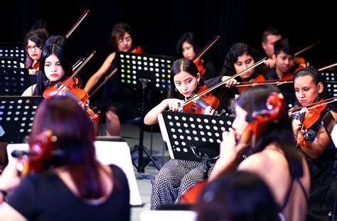 Orquesta De C Mara Ofrece Concierto Por A Os De La Uanl