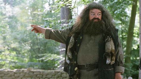 Harry Potter Et Si Hagrid Tait Secr Tement Un Mangemort La Folle