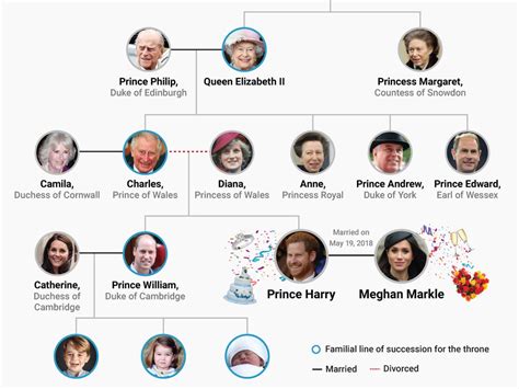 succession family tree no spoilers - Bonny Proffitt