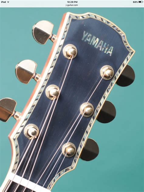 Yamaha Acoustic Guitar Headstocks Closeup