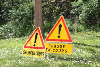 Battues De Chasse Mairie De Rountzenheim Auenheim