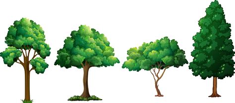 Set of different tree 433409 Vector Art at Vecteezy