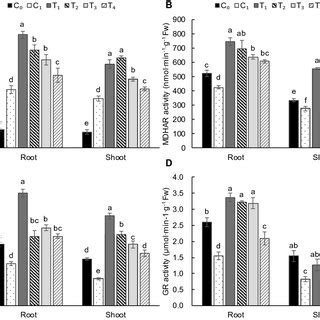 Effects Of Exogenous H2 On The Germination Process Of Barley Under