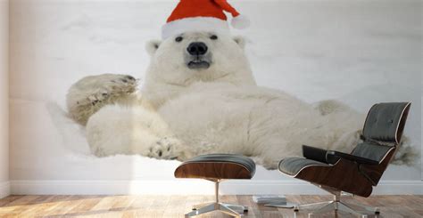 Polar Bear Wearing Santa Hat Lying On Its Back In Snow At Churchill