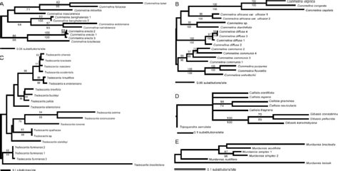 Maximum Likelihood Ml Trees For 5s Nts For Each Taxon Subset Maximum Download Scientific