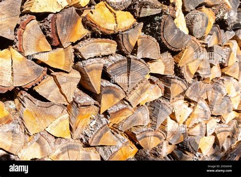 Oak Firewood Chopped And Stacked Stock Photo Alamy