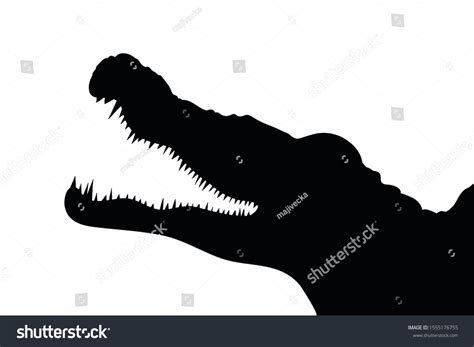 Gator Silhouette Vector Images: Browse 1,441 Stock Photos & Vectors ...