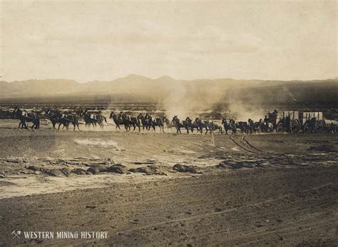 The Twenty Mule Teams Of Death Valley Western Mining History