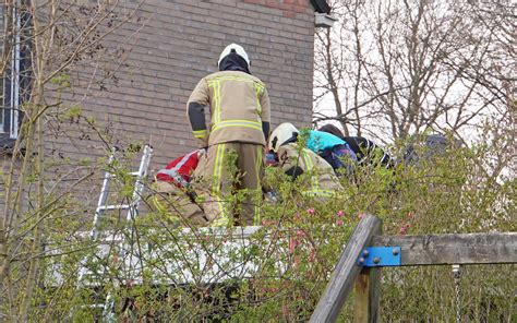 Man Valt Van Ladder Bij Woning In Assen En Raakt Ernstig Gewond