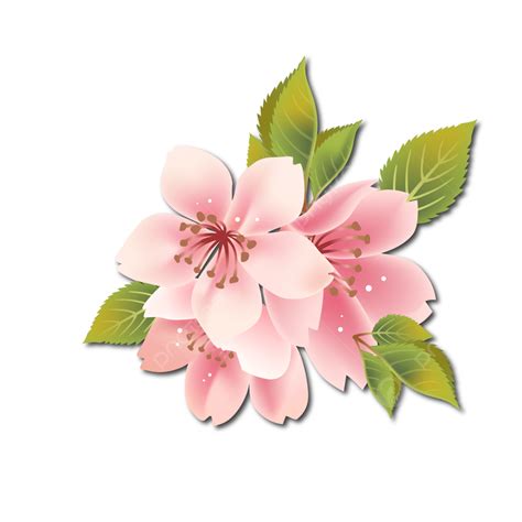 Green Cherry Vector Hd Png Images Pink Colored Cherry Flower With Creative Green Leafs Cherry