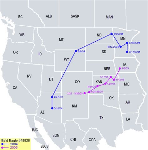 Bald Eagle Migration Patterns