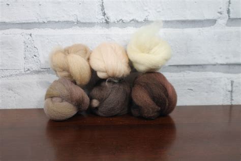 Wooly Buns In Flesh Tones Wool Roving Top Assortment Hand Etsy