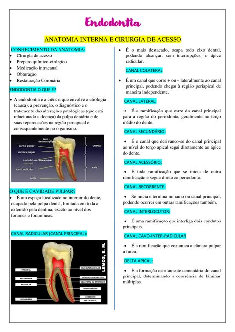 Cirurgia De Acesso Endo BRAINCP