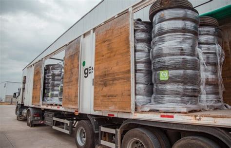 MEDIO AMBIENTE En Campana recolectaron los primeros 500 neumáticos