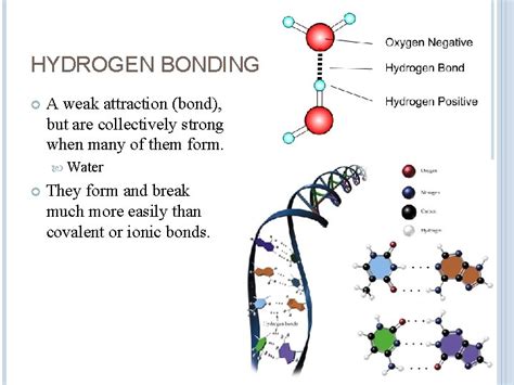 Introduction To Biochemistry Whats In Our Body What