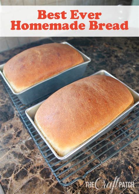 Best Ever Homemade Bread Recipe 2024