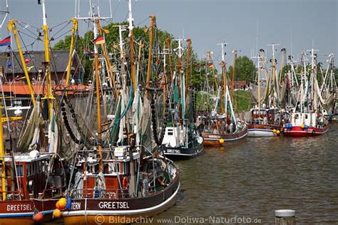 Greetsiel Fischereiflotte Foto Krabbenkutter Im Malerischen